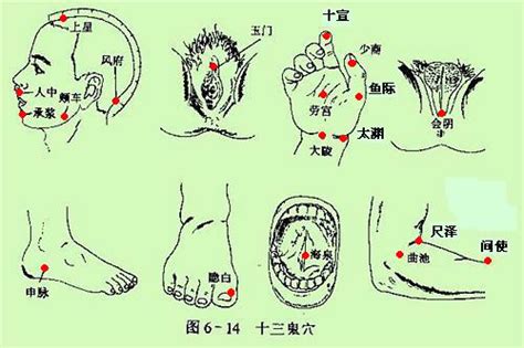 十三鬼穴 位置|鬼门十三针（中医针法）